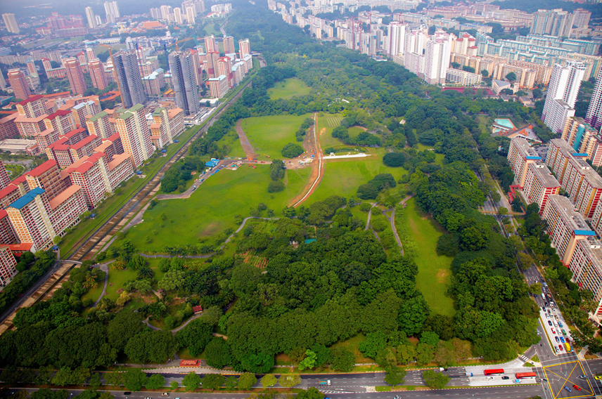 Aerial view of urban park and city buildings.